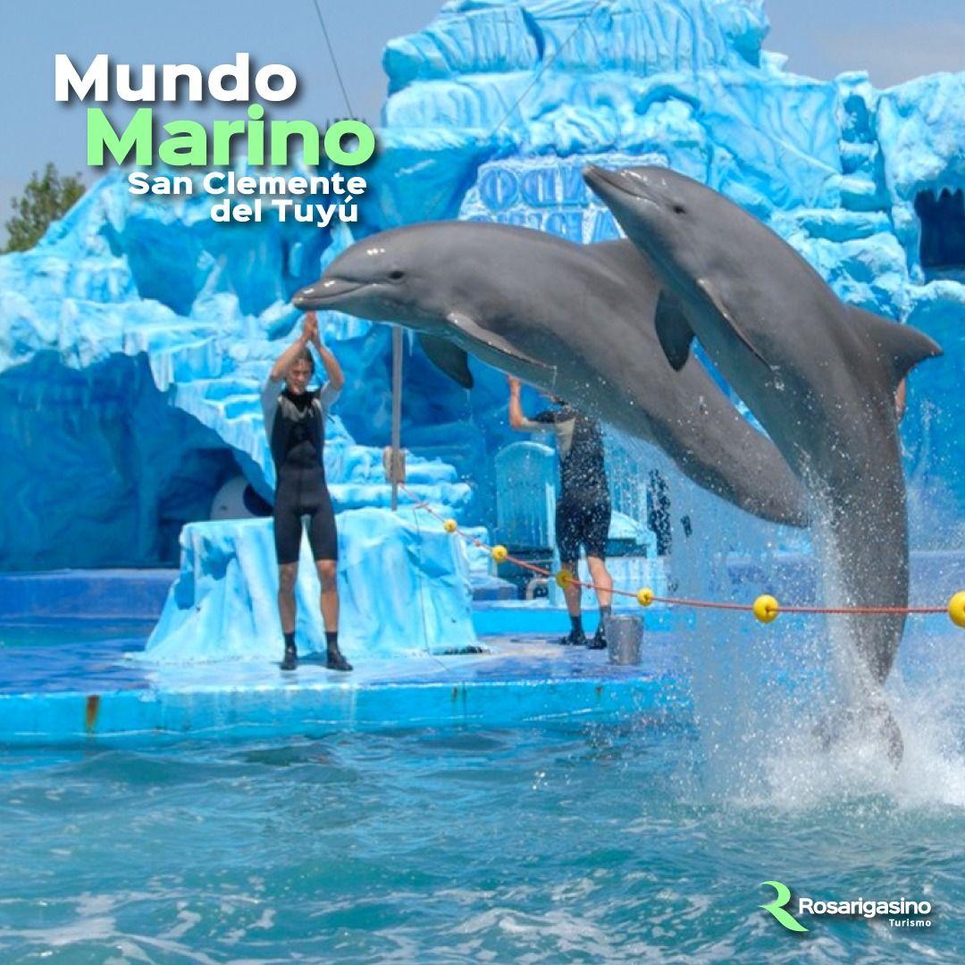 mundo-marino-y-san-clemente-del-tuyu-temporada-2026-140